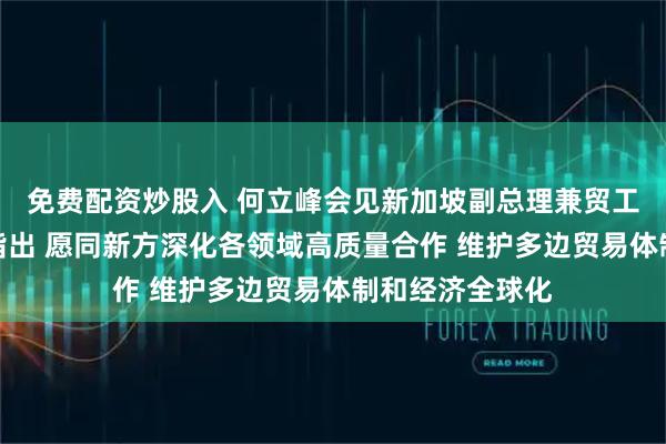 免费配资炒股入 何立峰会见新加坡副总理兼贸工部长颜金勇时指出 愿同新方深化各领域高质量合作 维护多边贸易体制和经济全球化